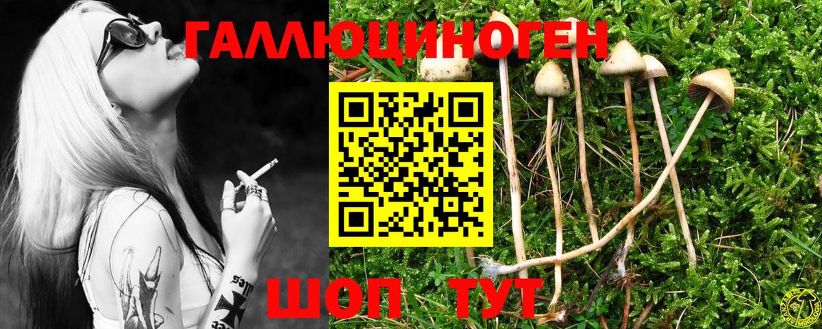 Галлюциногенные грибы Psilocybine cubensis Костомукша